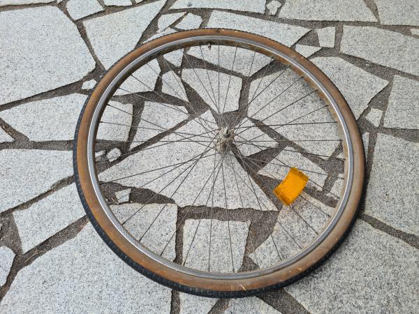 Bild "Design:DiscGolf-Rad.jpg"