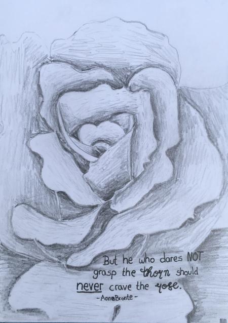 Bild "Design:Karten-Blei-Rose.JPG"