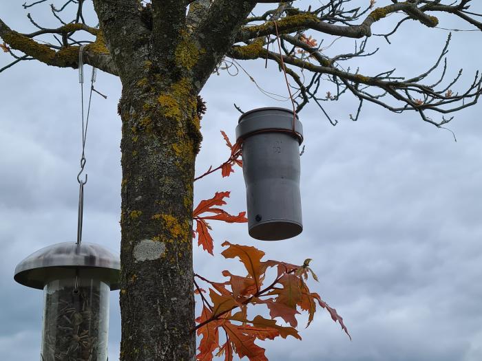 Bild "Elektronik:FledermausTTN_Aussentest.jpg"