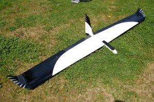 Bild "Modellflug:StorchNT-SR-Klein.jpg"