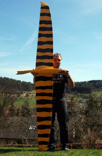 Bild "Modellflug:Tiegerhai_unten.JPG"