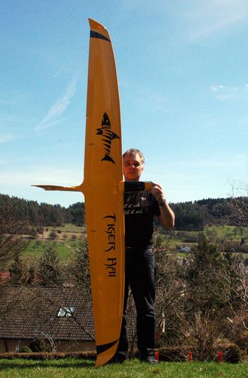 Bild "Modellflug:Tigerhai_oben.JPG"