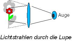 Bild "Technik:Optik_Lupe.jpg"
